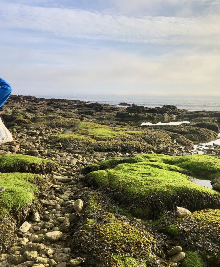 Découvrir l’estran : immersion sonore sur les plages de Ploemeur