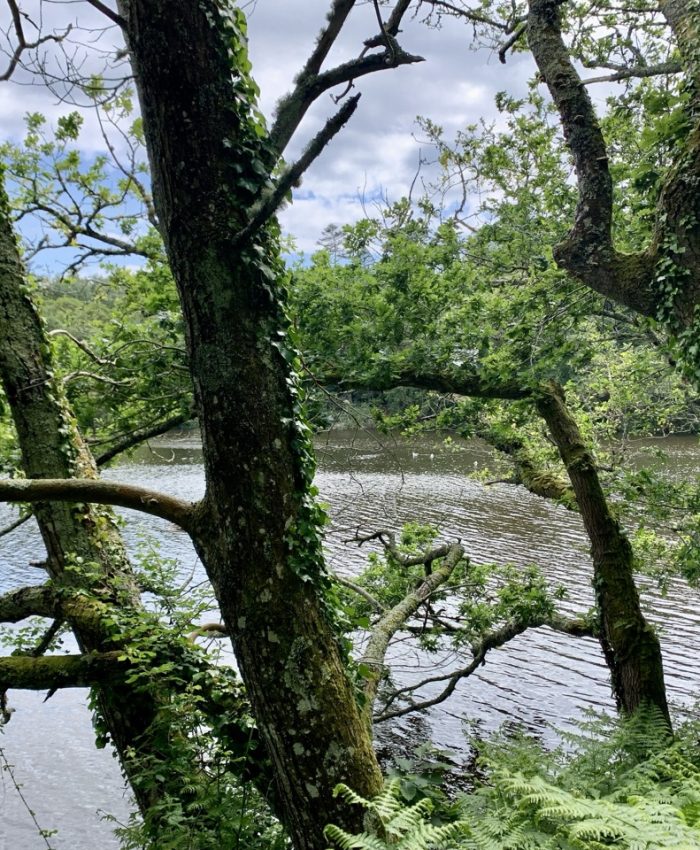 Sortie à l’étang du Ter à l’occasion de la journée internationale de la biodiversité