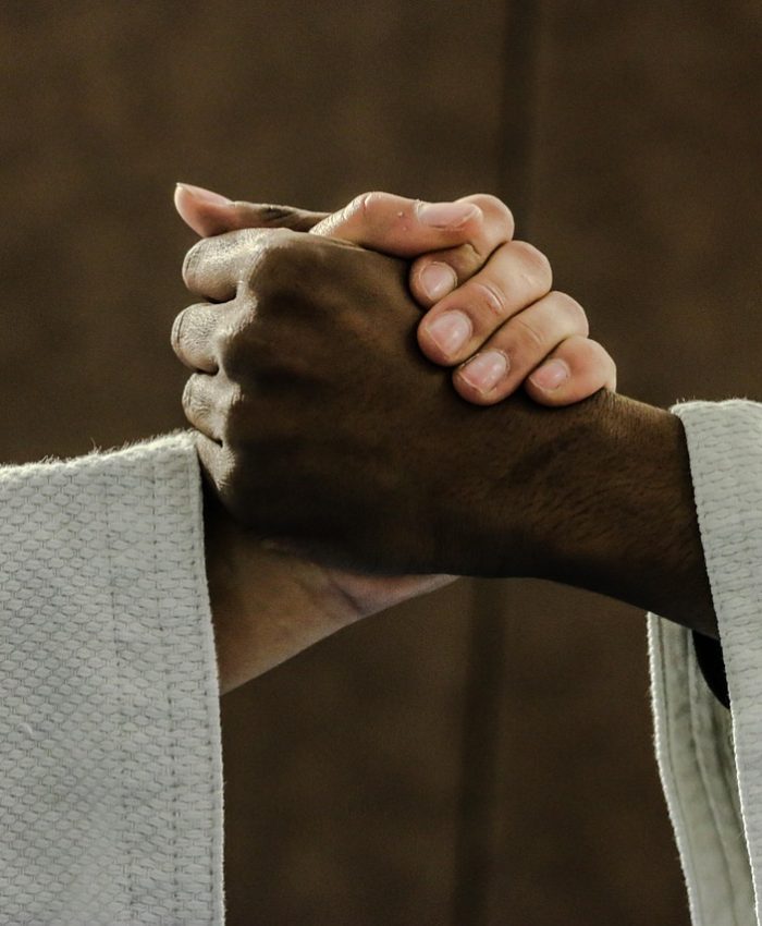 Projet ICAPS : les séances de judo se poursuivent !