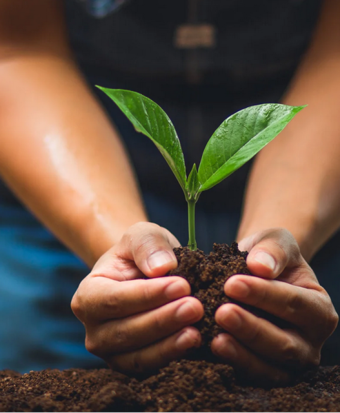 Reboisement du parc de l’ÉREA : les élèves sensibilisés à la biodiversité