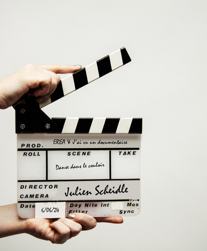 Promouvoir son établissement par le cinéma documentaire, restitution